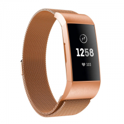 Fitbit Charge 3/4 BR RG Mag