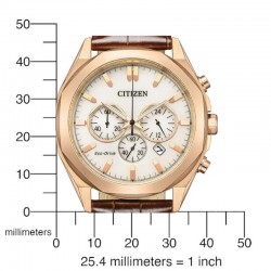 Citizen Eco-Drive CA4593-15A