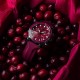 Vostok Europe Undinė CRANBERRY VK68-515A774