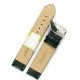 Watch Strap Diloy P205EL.27.20